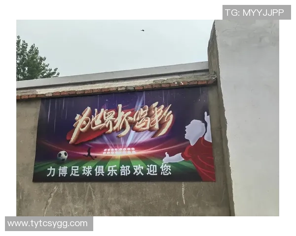 从绿茵场到新人生足球明星退役后的生活与挑战