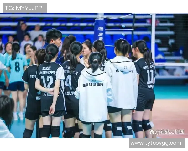 南京排球队在全国排球耐力排行榜中荣获第九名的佳绩引发关注