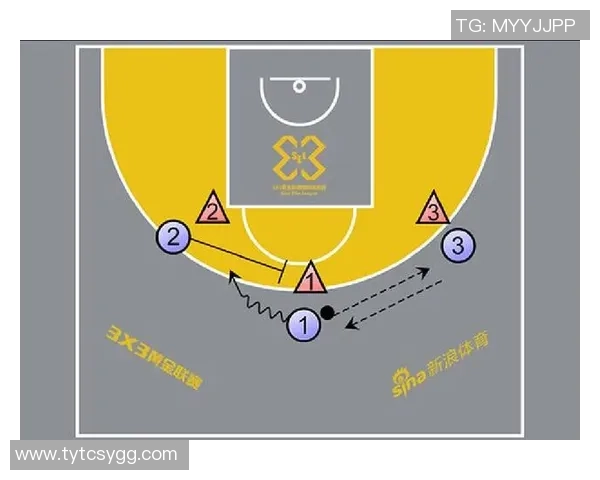 杭州篮球队灵活性分析与战术创新探讨
