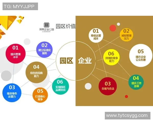 杭州网球队运营分析：成功经验与面临挑战的深度探讨