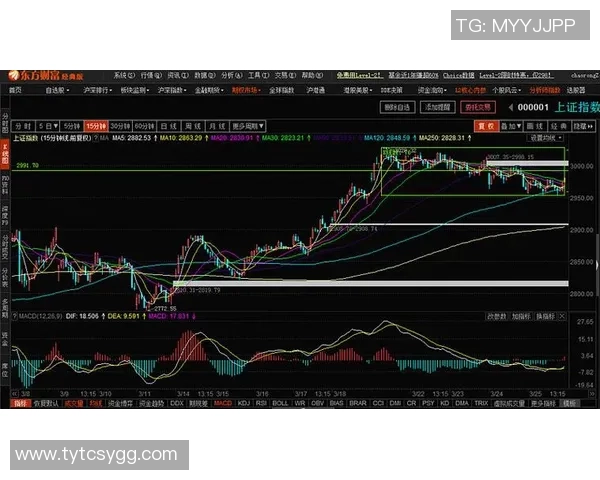 武汉乒乓球队与南京乒乓球队赛后复盘分析比赛节奏与战术对决