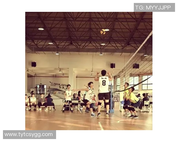 联合会杯点评：杭州排球队的团队协作表现