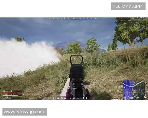 2026和平精英战术排行榜：IG位居第9名