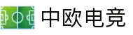 中欧电竞 - 东西方电竞文化交流的桥梁