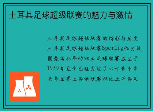 土耳其足球超级联赛的魅力与激情