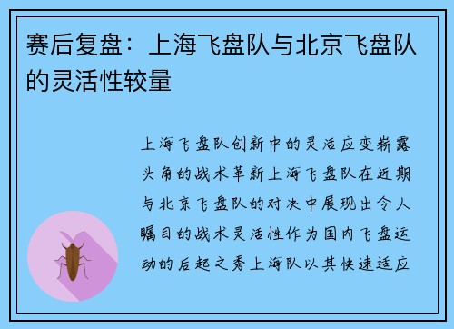 赛后复盘：上海飞盘队与北京飞盘队的灵活性较量