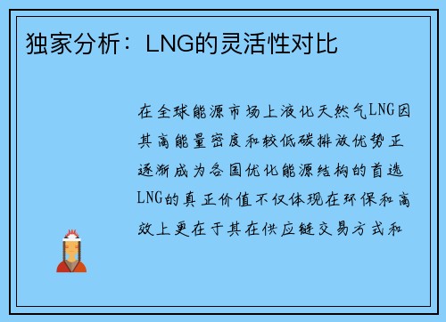 独家分析：LNG的灵活性对比